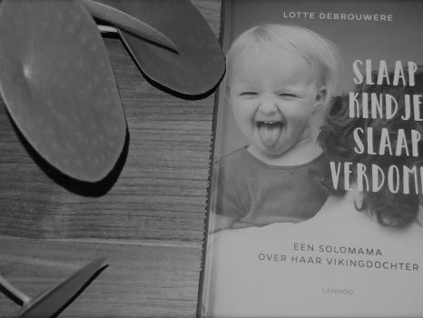 Boekentip: Slaap kindje slaap verdomme (Lotte Debrouwere)