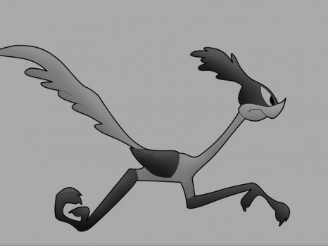 Struisvogel of roadrunner?